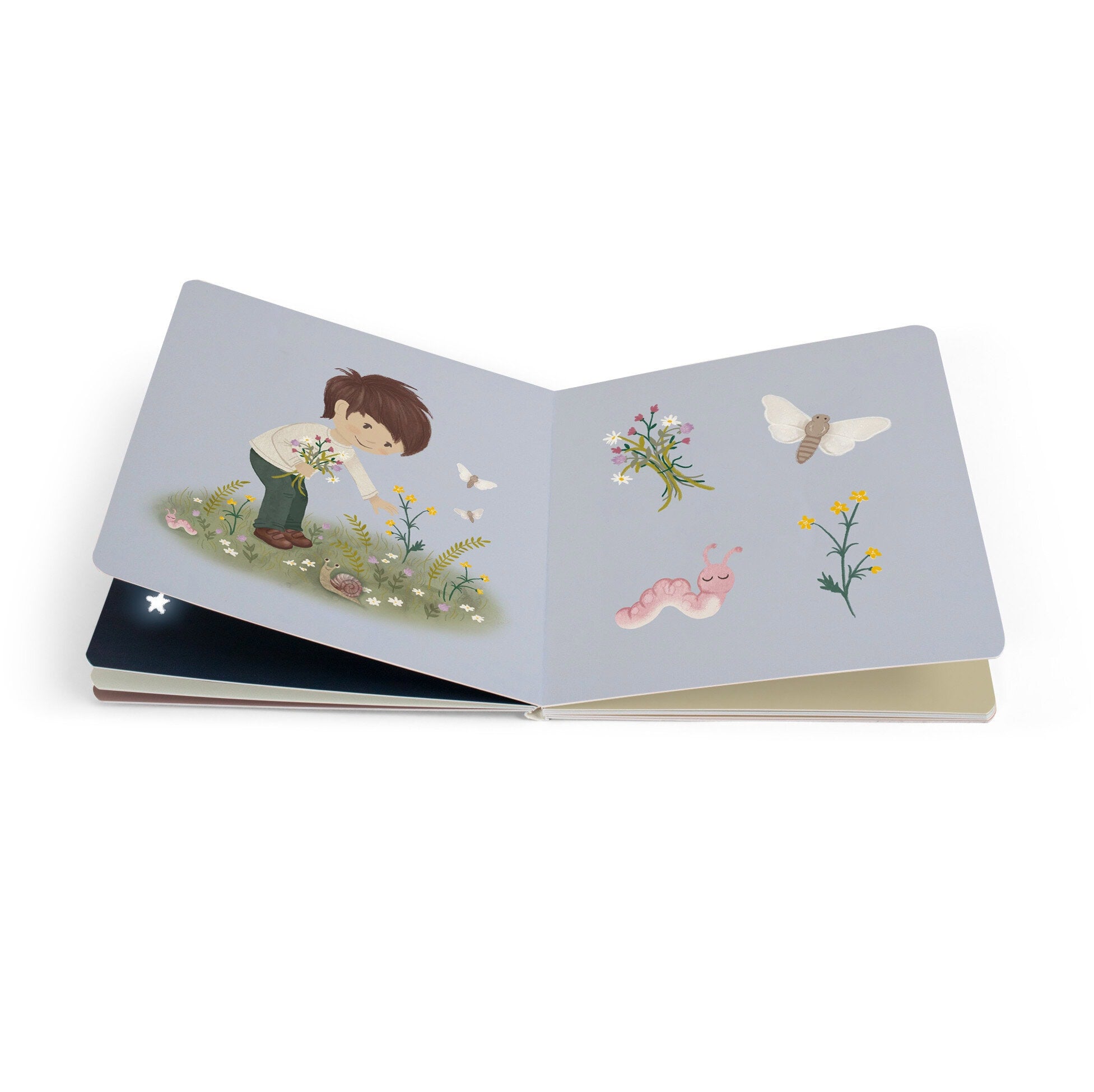 Baby book - The forest
