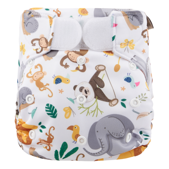 Zwemluier | Klittenband | Wild animals