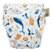 Zwemluier | Sea Animals